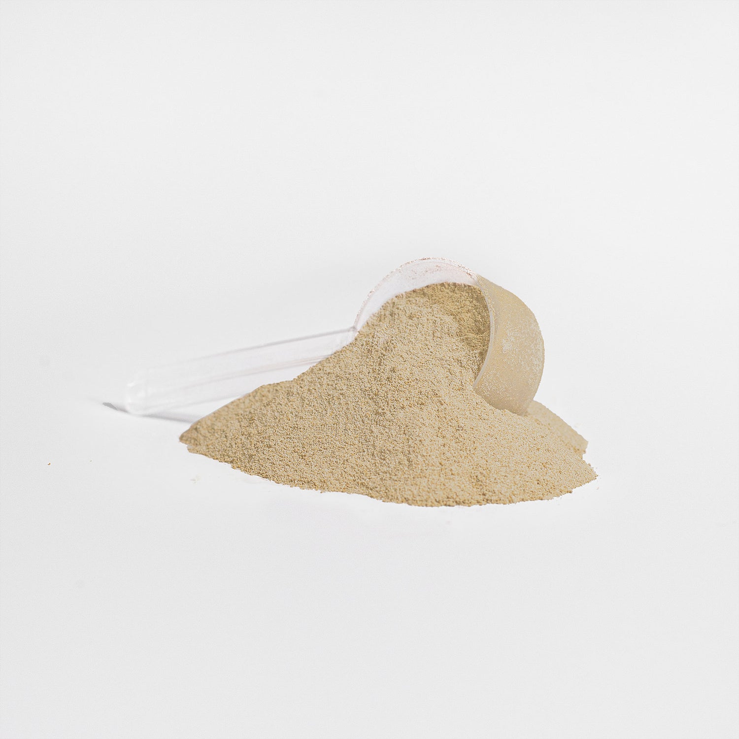 GAY WHEY 100% Whey Protein Isolate (Vanilla)